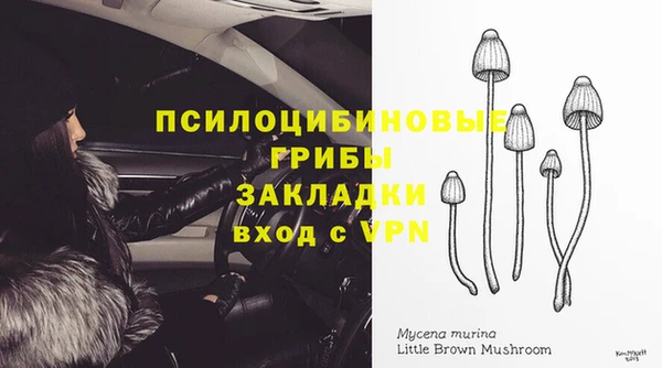 MDMA Premium VHQ Аркадак