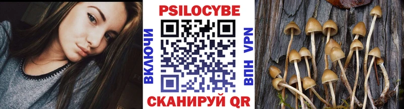 купить наркоту KRAKEN онион Галлюциногенные грибы Psilocybine cubensis Темрюк
